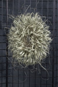 Dried Bear Grass Wreath